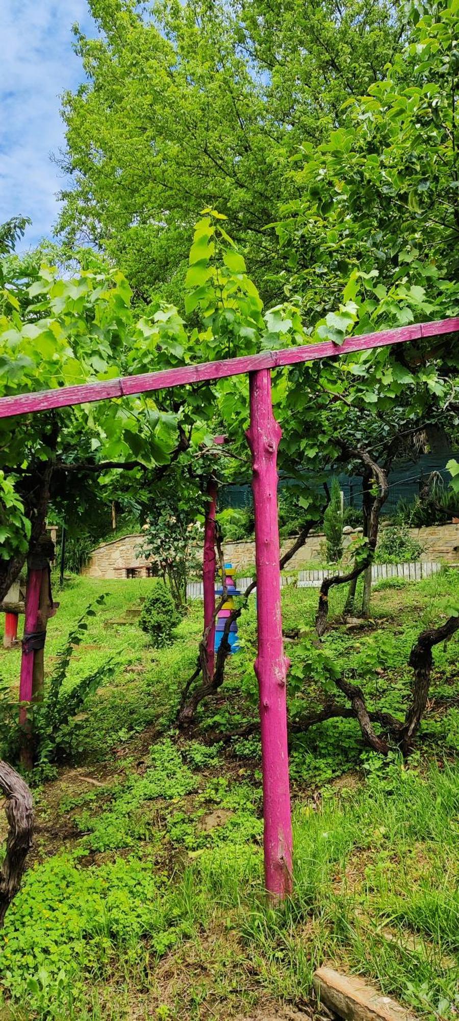 Le Rose Di Mapi Mango Exterior foto