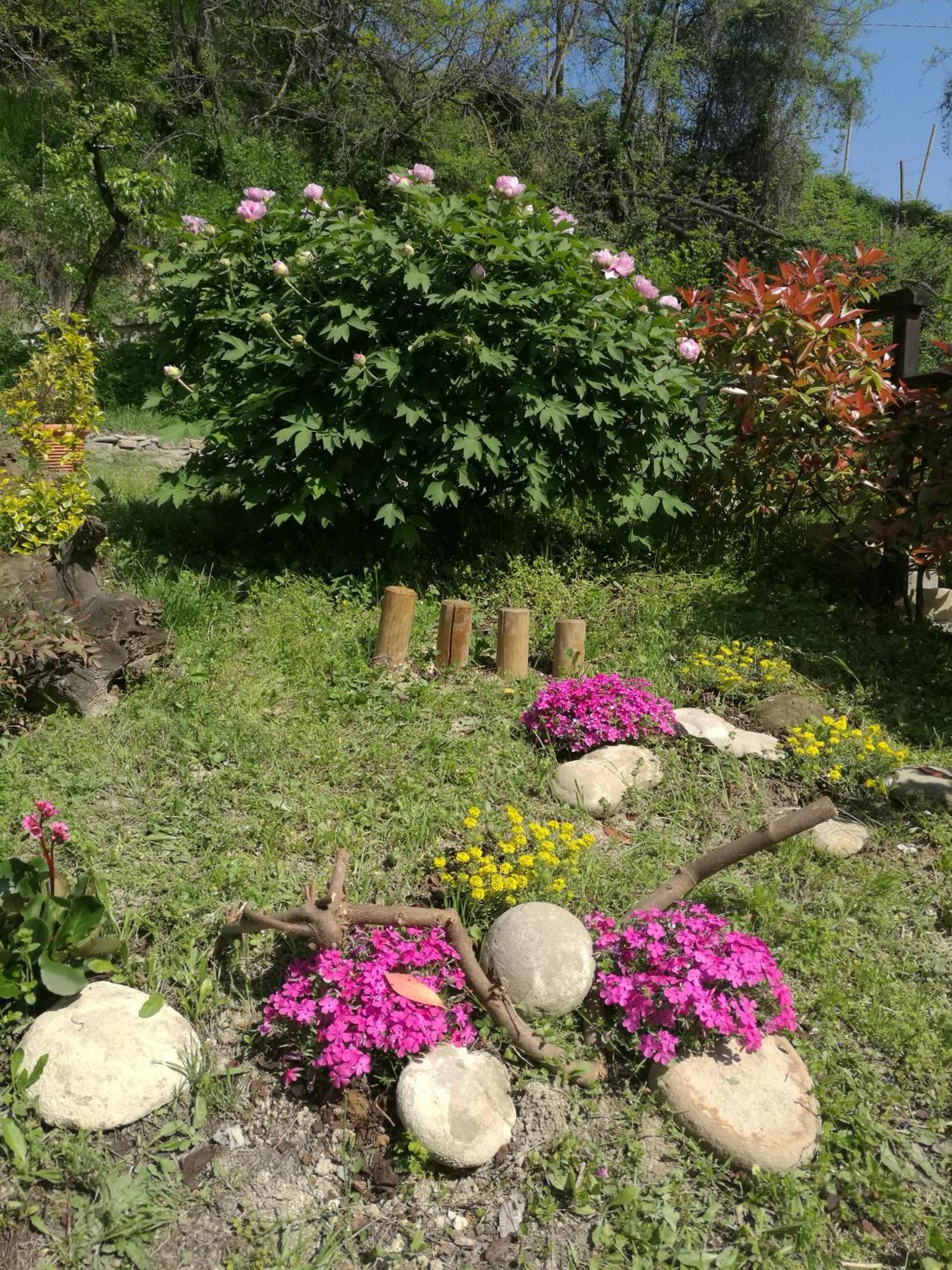 Le Rose Di Mapi Mango Exterior foto